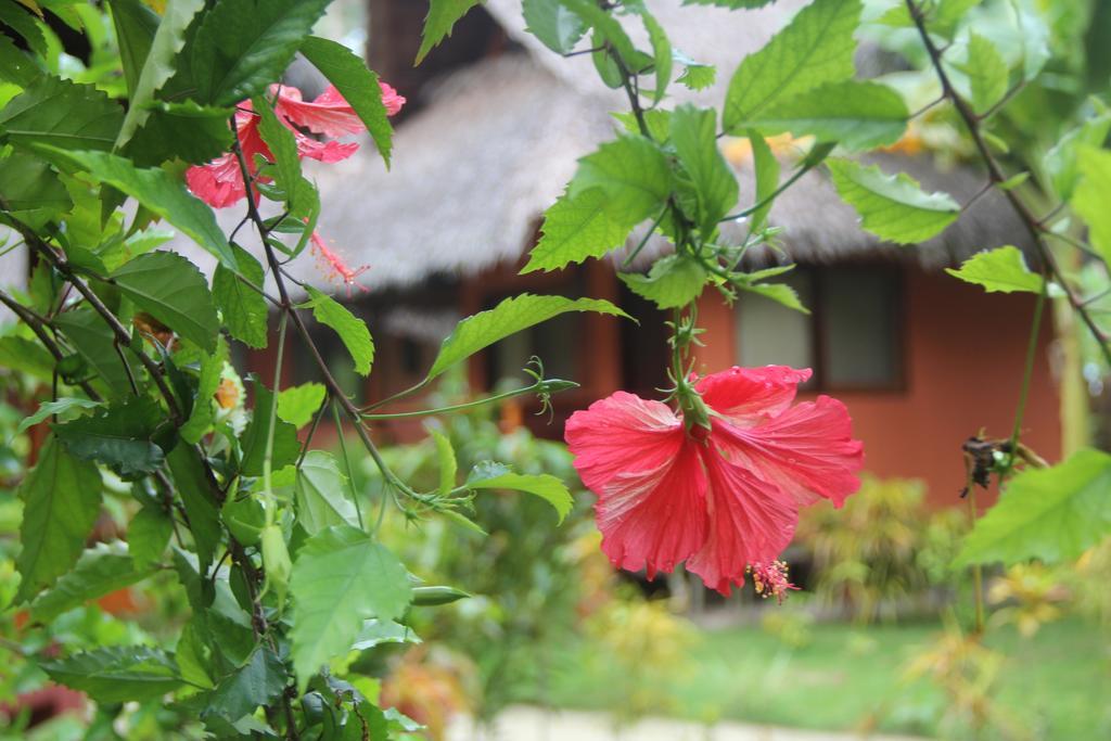 Villa Solaria General Luna (Surigao del Norte) Exterior photo